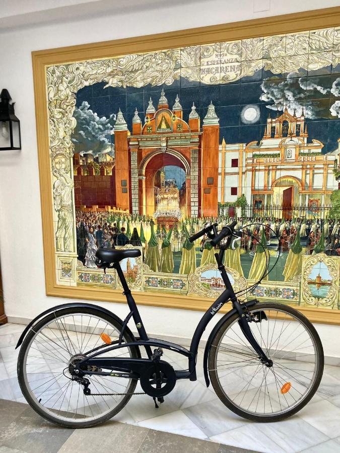 Loft And Bike Alameda * Seville
